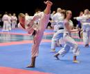 Shotokan Karate Frýdek-Místek, z.s. - Výuka dětí a mládeže ve sportovní a tradiční formě KARATE stylu Shotokan podle SKIF