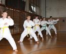 Shotokan Karate Frýdek-Místek - projekt Sportovní výuka dětí a mládeže se zaměřením na bojové umění - sportovní a tradčiní KARATE stylu Shotokan