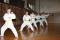 Shotokan Karate Frýdek-Místek - projekt Sportovní výuka dětí a mládeže se zaměřením na bojové umění - sportovní a tradčiní KARATE stylu Shotokan