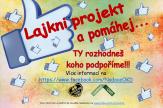 LAJKNI PROJEKT 2018